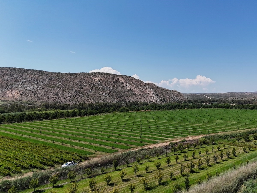 Commercial Property for Sale in Groblershoop Northern Cape